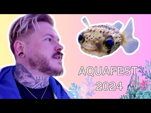 Saltwater Aquarium Festival | AQUAFEST 2024 | Fish, Coral & Reefing Chats!