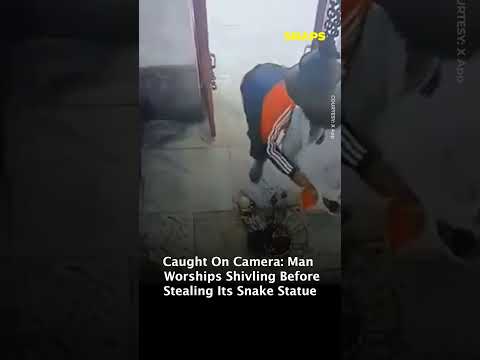 Caught On Camera Man Worships Shivling Before Stealing Its Snake Statue.