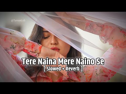 Tere Naina Mere Naino Se [ Slowed & Reverb ] Anuradha Paudwal | 90s Song Lofi