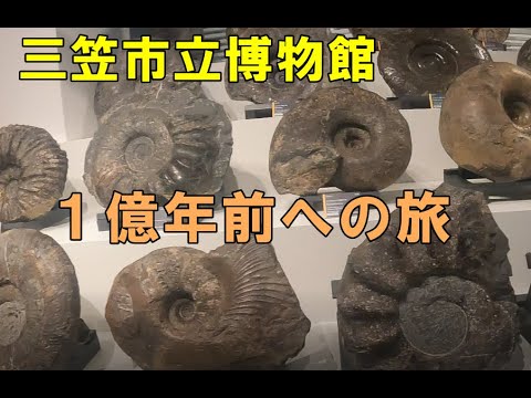 三笠市立博物館に行こう【人類がいない世界を化石が語る】