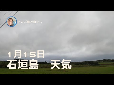 【石垣島天気】1月15日11時ごろ。15秒でわかる今日の石垣島の様子。