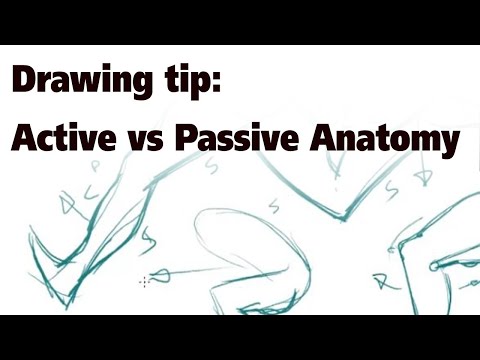 Designing Active vs Passive Anatomy