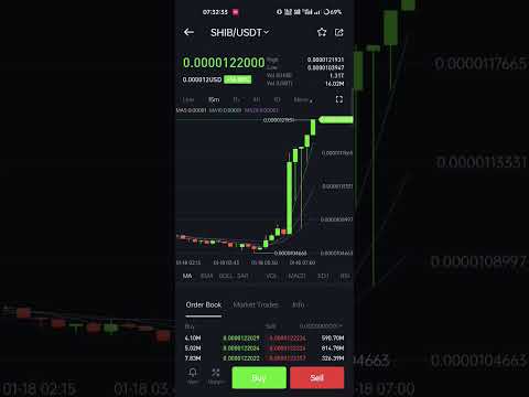 Lovely inu with Shiba inu pumping Hard #bitcoin #shorts #crypto #cryptocurrencies #trending #btc