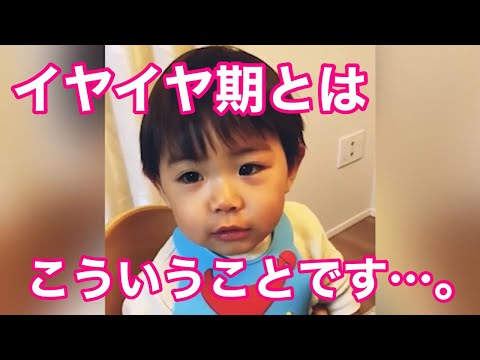 イヤイヤ期とはこういうこと。ひたすらご飯を嫌がる２歳児#shorts