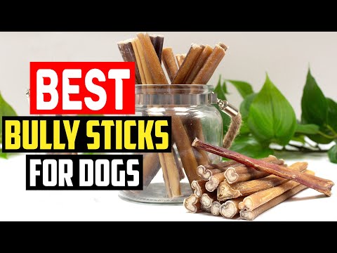 ✅Top 5 Best Bully Sticks for Dogs in 2023