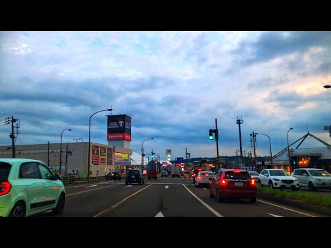 Daily Life in Japan | Sunset Drive | Chasing Cars🚖🚗🌆