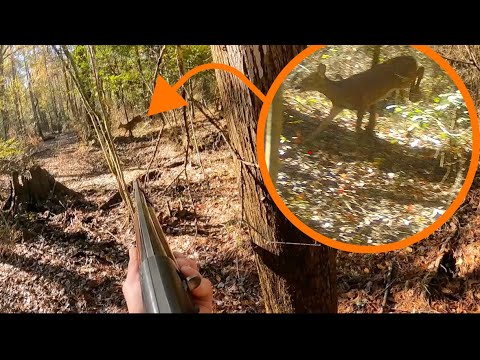 I Figured Em’ Out!! | Killed Limit Of Deer And Ducks!!