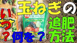 【家庭菜園】 いつ？何を？どうやって？玉ねぎの追肥の方法 【玉ねぎ】【肥料】【追肥】【育て方】【HB101】