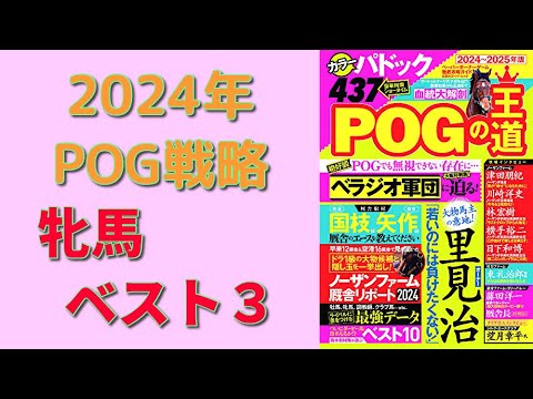 【POG】ドラフト直前情報「牝馬のベスト3」大発表！【POGの王道】