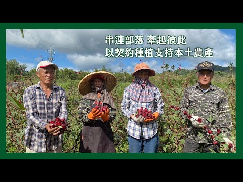 【 里仁 】串連部落 以契約種植支持本土農產