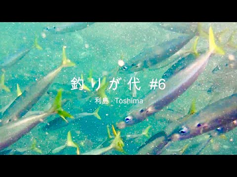 釣りが代＃６　in 利島