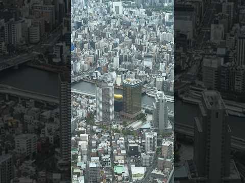 View of Sumida River and Tokyo cityscape from the Tembo Deck (350m) of Tokyo Skytree!