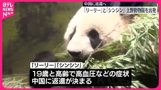 【中国に返還へ】ジャイアントパンダ「リーリー」と「シンシン」上野動物園を出発