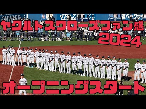 オープニング全員集合！ヤクルトスワローズファン感2024