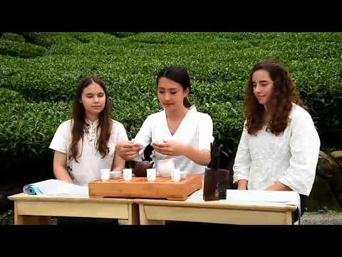 Alishan Tea Festival in Four Seasons Forest Tea Ceremony in Summer CF