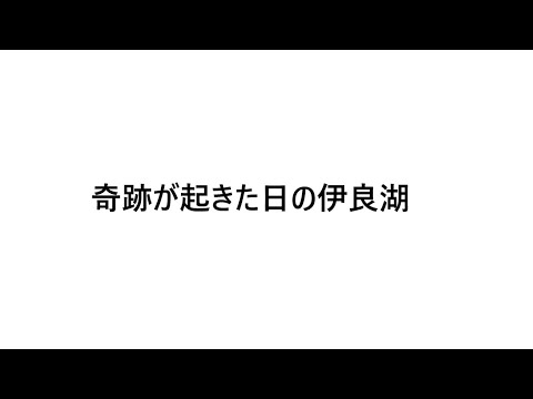 とある日のサーフィンと奇跡が起きた日