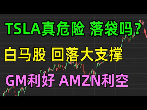 美股热点：TSLA落袋吗，白马股回落大支撑，GM利好，AMZN利空