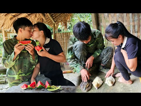 Simple life - Big love - Harvesting cucumbers for sale, Farm care | Linh's Life