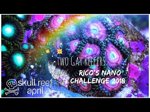 Rico’s Nano Challenge 2018 - Skull Reef April Update - Rico’s Aquariums