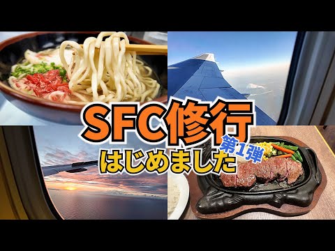 【SFC修行始めました！】まずは羽田－那覇を1日で2往復します！！