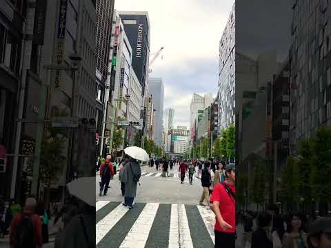 Ginza, Tokyo #japan #walkthrough #tokyo #shortvideo #shorts