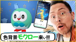 スペシャル背景モクロー達よ！！頼むから色違いでこいこいこいこい！！！！！！【ポケモンGO】