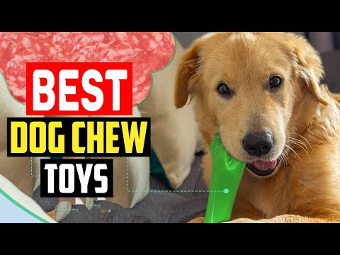 ✅5 Best Dog Chew Toys of 2023