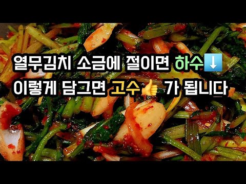 열무김치 소금에 절이지 말고 이렇게 담그셔야 합니다/무름방지/아삭한 식감/풋내가 안나요