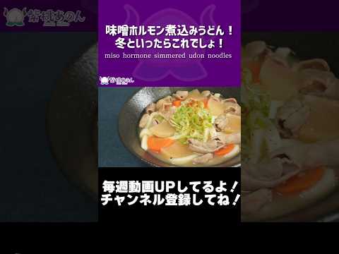 味噌ホルモン煮込みうどん！冬といったらこれでしょ！/miso hormone simmered udon noodles【VTuber 料理/紫桃あのん】【もつ煮込み】#shorts