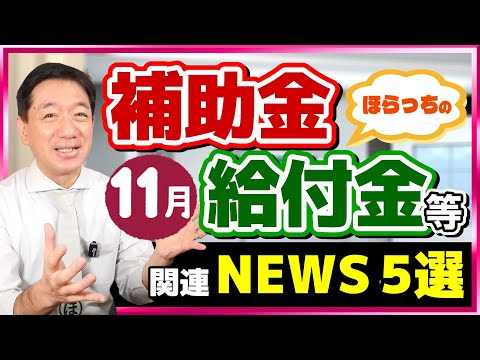 【給付金は実現の見通し、電気・ガス補助、103万円の壁など～11月度 補助金・給付金ニュース５選】倒産動向、9月は10年ぶり800件台/ ユニークな自治体の助成金/ 厚労省支援策 （24年11月時点）