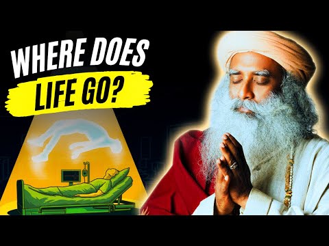 Where Do LIFE GO After SHEDDING BODY? | "What Dies When We Die" (explained)