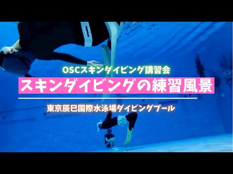 水中無重力状態！？潜る泳ぐだけじゃない！OSCスキンダイビング講習会（応用実践編）の練習風景 in 東京辰巳国際水泳場