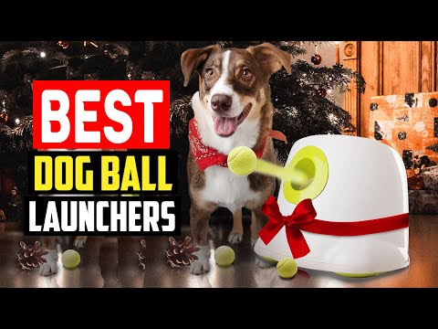 ✅ Top 5 Best Dog Ball Launchers of 2023