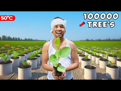 We Plant 1 Lakh Trees - एक लाख पेड़🌳| 100% Real