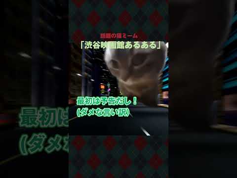 #猫ミーム #猫マニ 映画チケットのウェブ購入する猫の末路（渋谷）