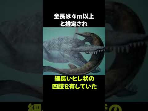 化石の画像しかない海棲爬虫類「ロメオサウルス」の情報 #動物 #生き物 #shorts #雑学 #豆知識 #おもしろい #恐竜