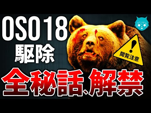 【独占公開】牛食いヒグマ"OSO18"駆除にまつわる3つの秘話｜駆除反対派に告ぐ