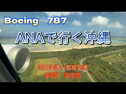 【ANA Boeing787】Go to Ishigaki Island!