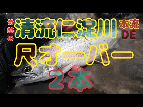 清流仁淀川  本流アメゴ  尺オーバー2匹！