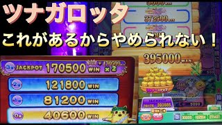 【ツナガロッタ】リンク2倍消化なるか？最後の最後で大チャンス！【1月編】