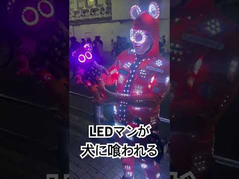 Part8 LEDマンが渋谷ハロウィンで犬に喰われる…  #shorts