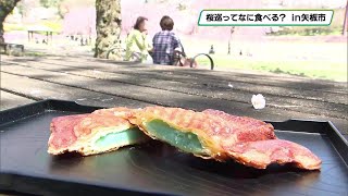 桜の名所とご当地グルメ「矢板市の長峰公園×手作りあんこのたい焼き」観光名所をイメージした〇〇色も！？