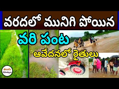 heavy rain vanaparthi|vanaparthi heavy rain today|heavy rain nagarkurnool|heavy rain|Telugu Screts