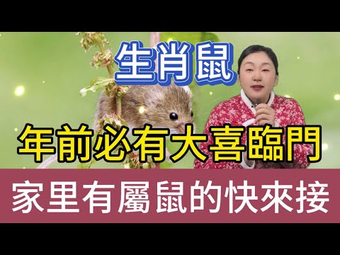 生肖鼠！年前大喜：家有屬鼠快接福，驚喜臨門切勿失良機！生肖鼠在年前將迎來大喜之事！若家中有屬鼠之人，趕緊來接福，千萬不要錯過這個可能改變命運的機會！#風水 #生肖 #佛教 #運勢 #分享 #財運