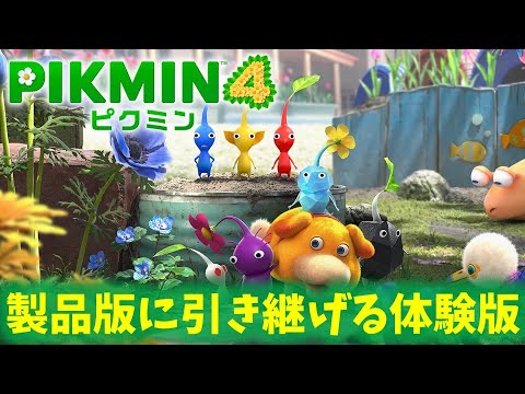 【ピクミン4】製品版に引き継げる！！【体験版】