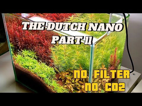 The Dutch nano part ll