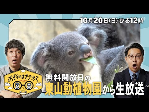 『おぎやはぎテラス～きょう、12時にどこ？～』2024年10月20日（日）無料開放日の東山動物園から生放送　毎週日曜ひる12：00〜13：00