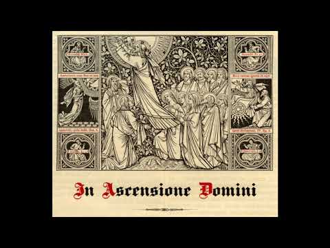 In Ascensione Domini --- Christi Himmelfahrt