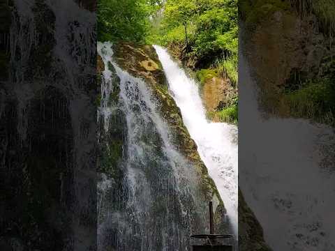 Cascada Urlatoare #waterfall #romantic #romance #shorts #romanian #romania ♥️🥇♥️