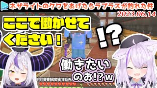 【マイクラ】秘密結社の総帥、泥棒建設に入社し農業大臣に任命されてしまう【2023.06.14/猫又おかゆ/ラプラス/ホロライブ切り抜き】